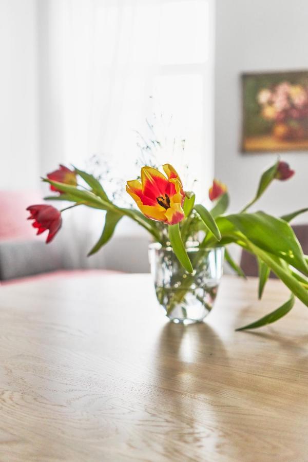 New And Lovely Apartament In Vilnius City Centre Esterno foto